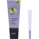 BLAZY SUSAN PURPLE CONES 1 1/4